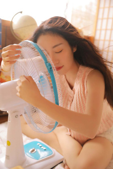 绿色椅子middot爱的定义
